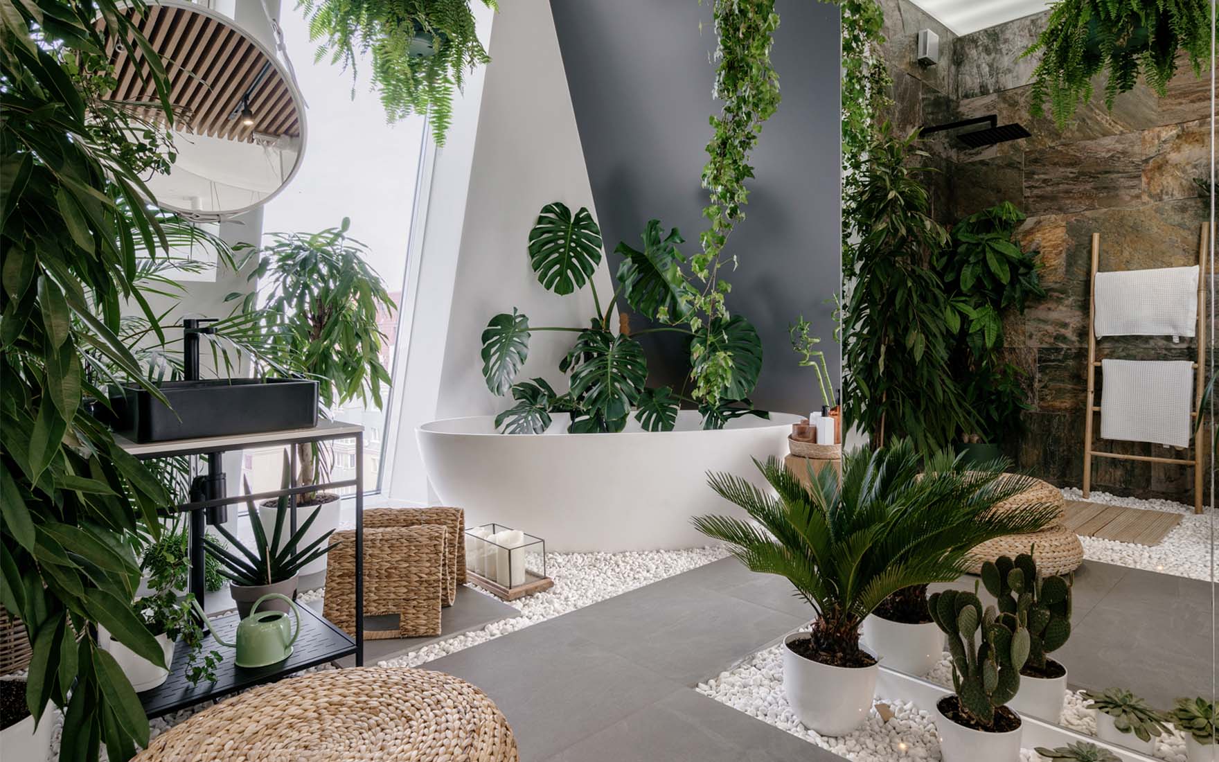 Jakie rośliny do łazienki?